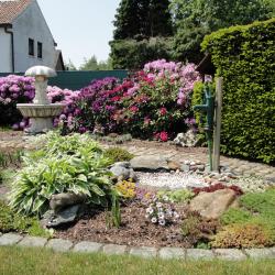 Tuin met rodedendrons