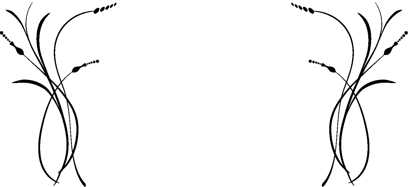 Visueel achtergrond ornament
